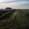 IMG_8560